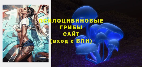 Альфа ПВП Армянск