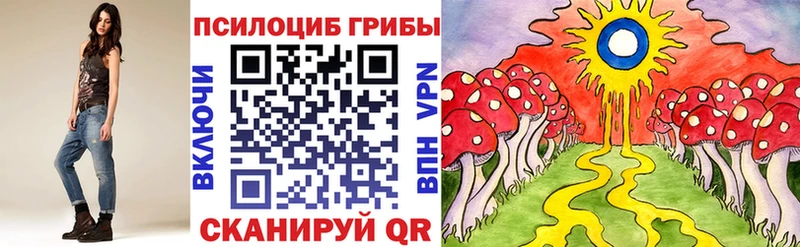 Купить закладки  Уварово  Псилоцибиновые грибы Cubensis 